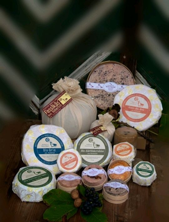 Verschiedene Bio-Rohmilchkäse (Brie, Camembert, Kürbis- & Steirerschimmel)