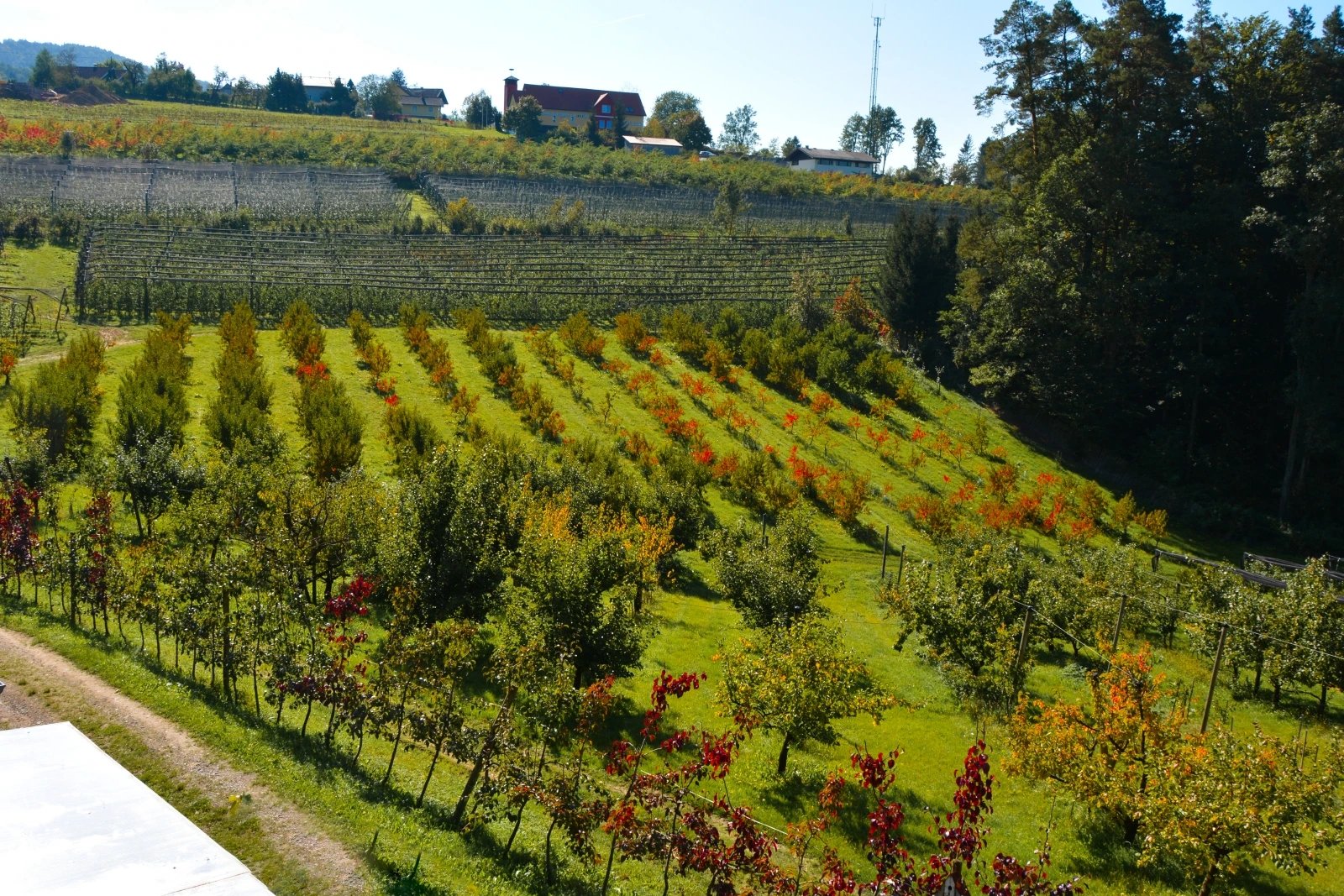 Obstbauernhof Planner