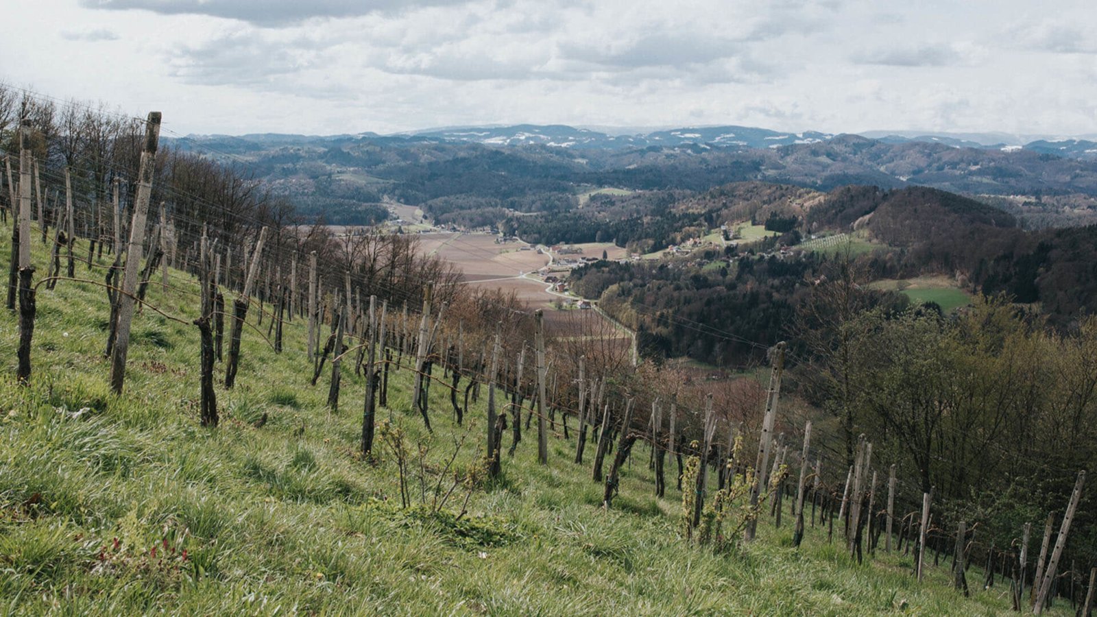 Viktoria und Bernhard Malli - Österreichs steilstes Weingut "Malli"
