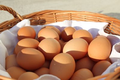 Eier