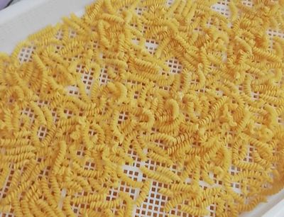 Hausgemachte Eiernudeln (Spiralen/Fusilli) aus Freilandeiern – Teigwaren mit Ei, Hartweizen- & Dinkelvarianten (8 Sorten)