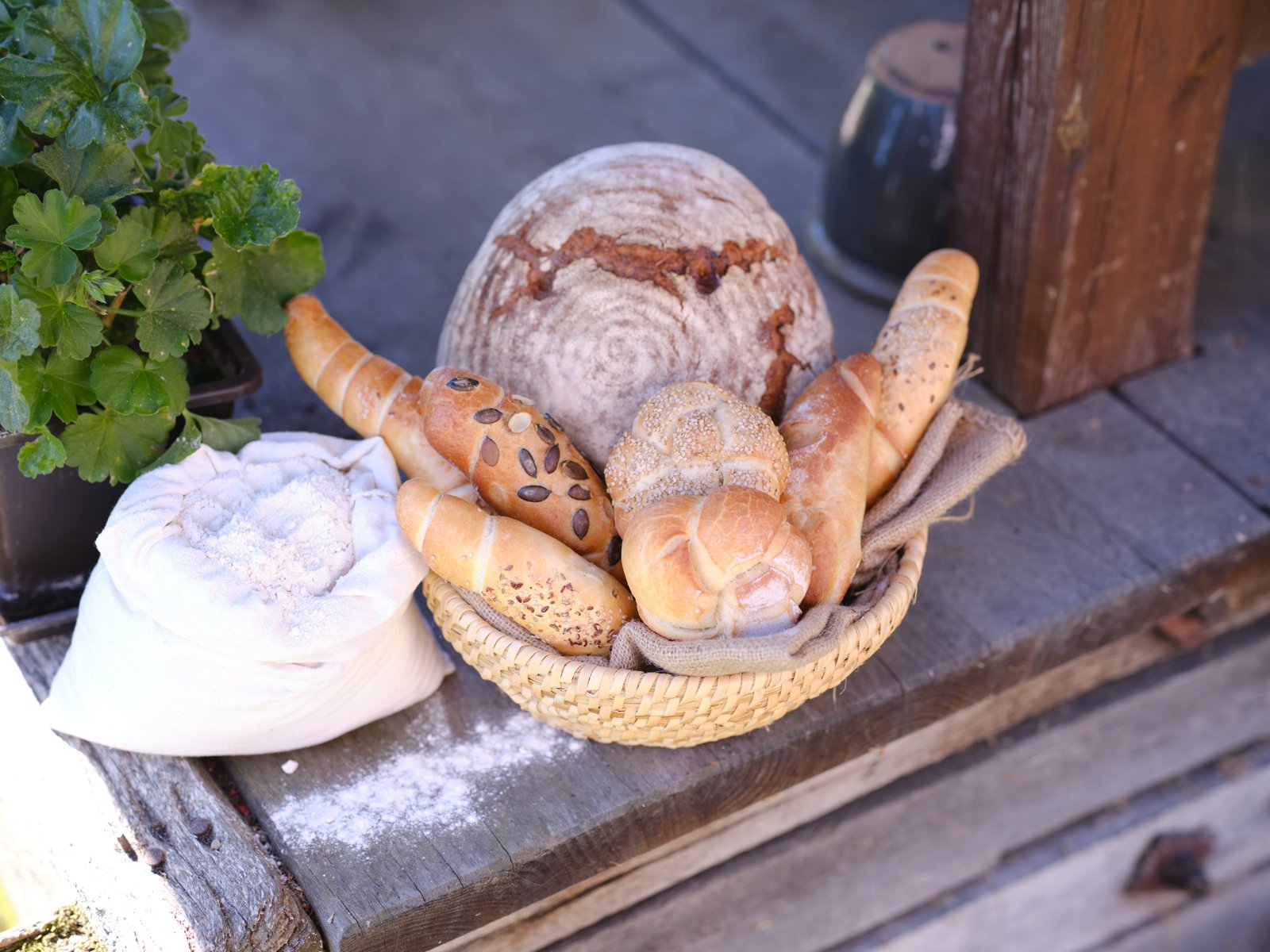Bauern-/Mischbrot (auch Roggen-, Dinkel-, Vollkorn- & Weizenbrot), frisch gebacken jeden Freitag