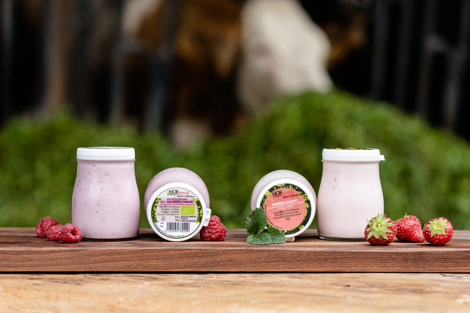 Bio-Fruchtjoghurt im Glas (z. B. Erdbeer, Marille, Vanille, Schwarzwälder-Kirsch), nicht homogenisierte Heumilch