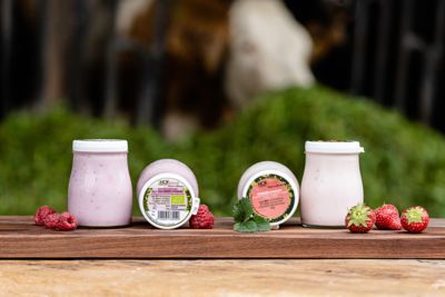Bio-Fruchtjoghurt im Glas (z. B. Erdbeer, Marille, Vanille, Schwarzwälder-Kirsch), nicht homogenisierte Heumilch