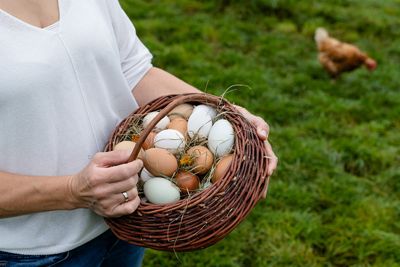 Bunte Eier von verschiedenen Hühnerrassen, legekornfrei gefüttert