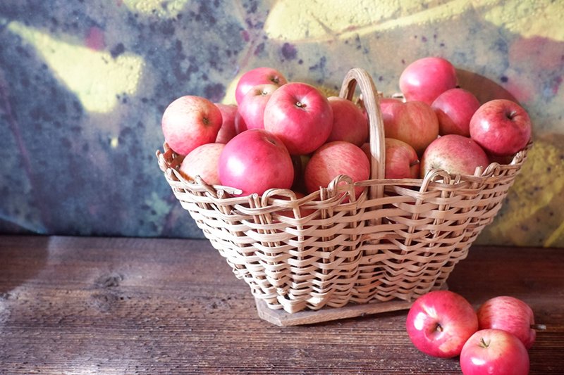 Äpfel, verschiedene alte Sorten von der eigenen Streuobstwiese
