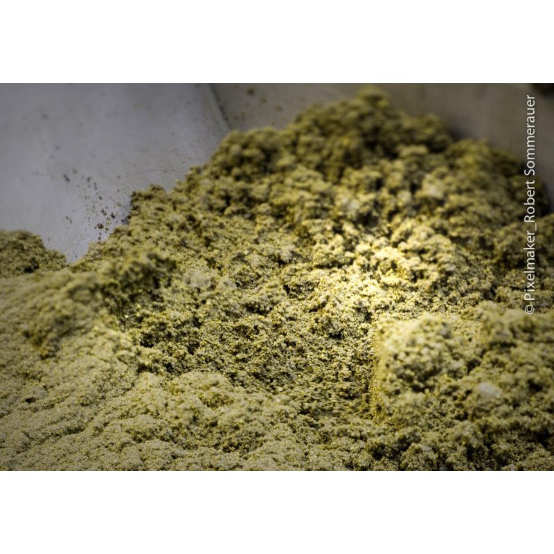 Kürbiskernmehl (entölt, vakuumverpackt), 1 kg