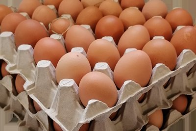 Frische Eier vom eigenen Hof