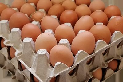 Frische Eier vom eigenen Hof