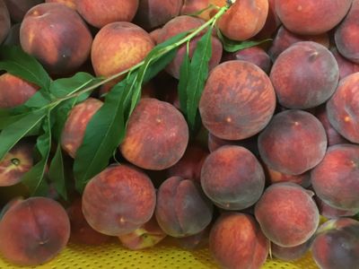 Frische Pfirsiche aus eigenem Anbau (je nach Saison), lose nach Gewicht