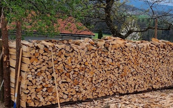 Buche, Eiche