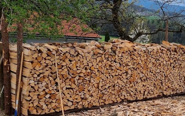 Buche, Eiche