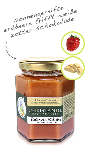 Erdbeer - Schoko Marmelade Konfitüre
