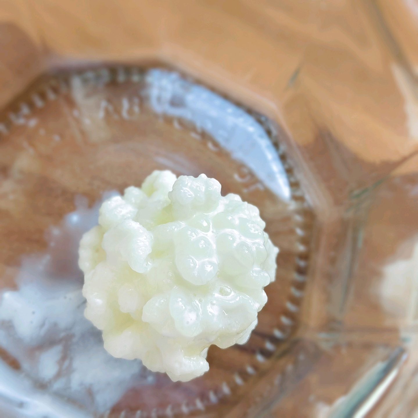 Fermentiertes