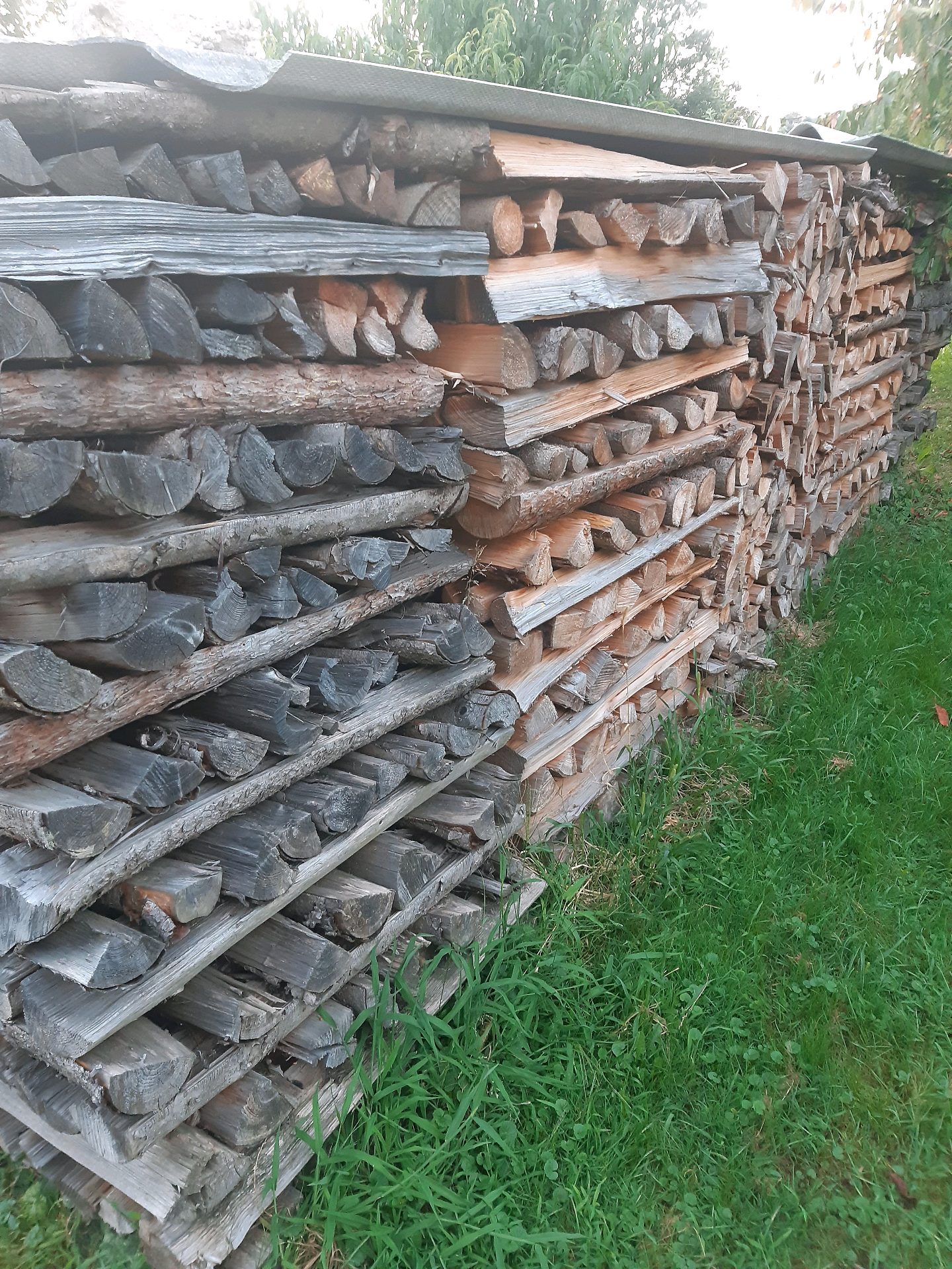 Laubholz-Mix