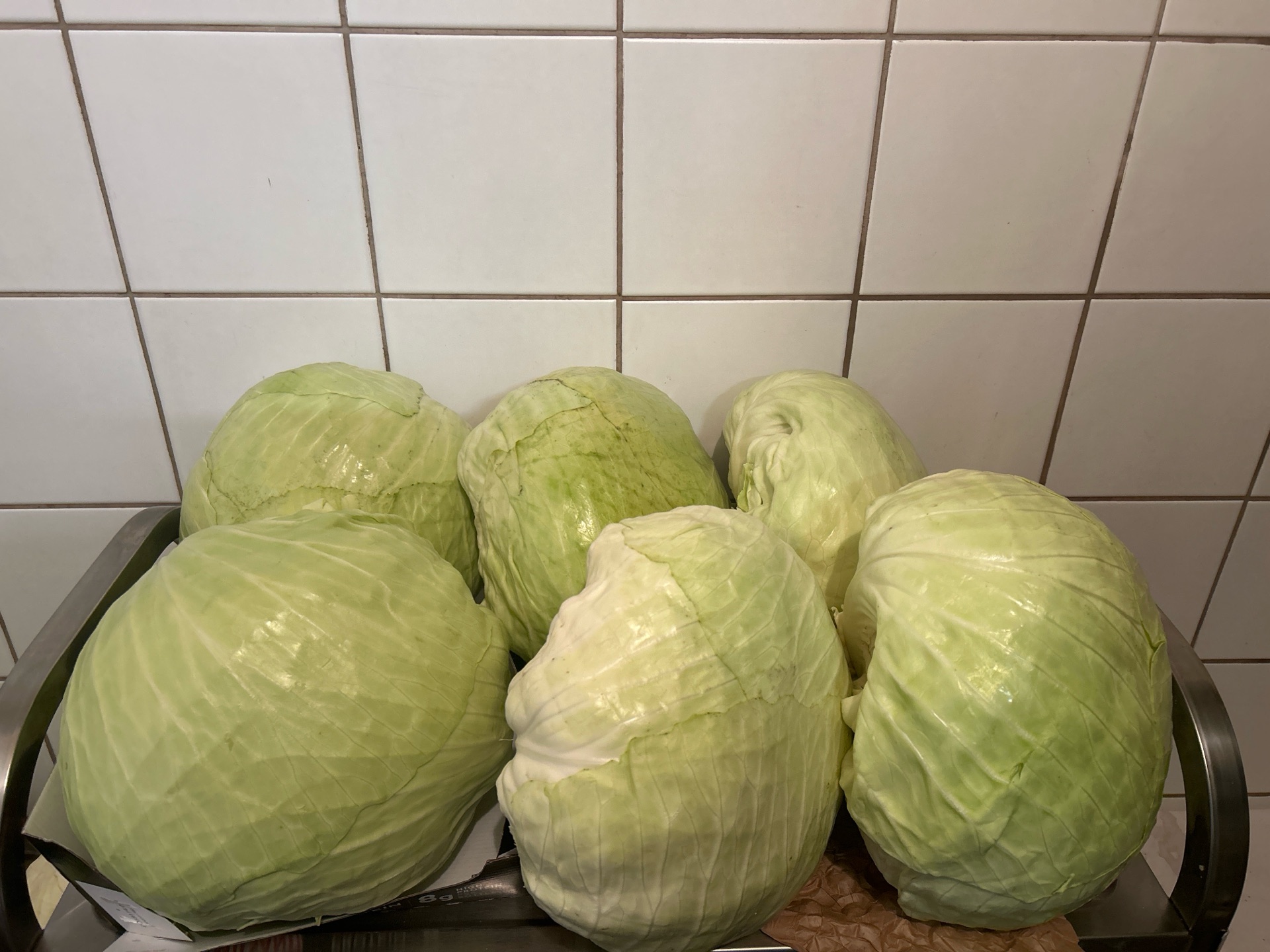 Weißkohl
