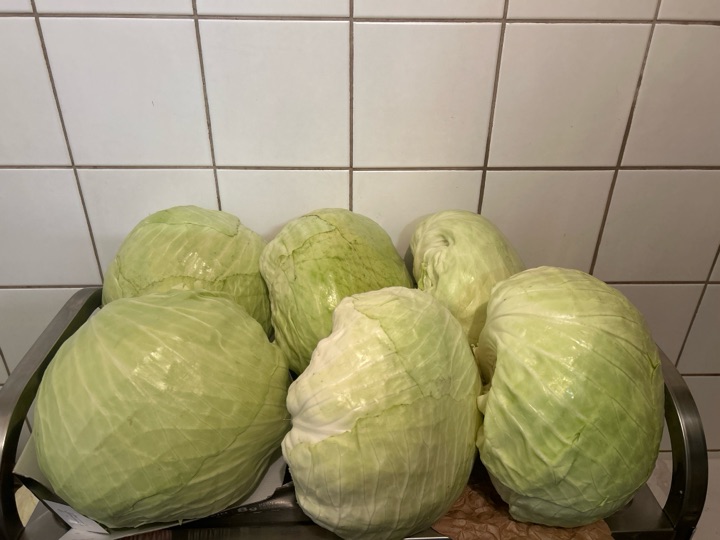 Premstätter Schnitt